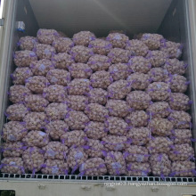 2021 new crop China/Chinese fresh garlic in bulk normal white for wholesale
